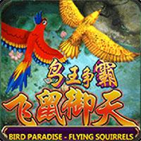 Fish Hunter : Bird Hunter /  Bird Paradise