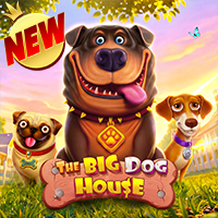 The Big Dog House